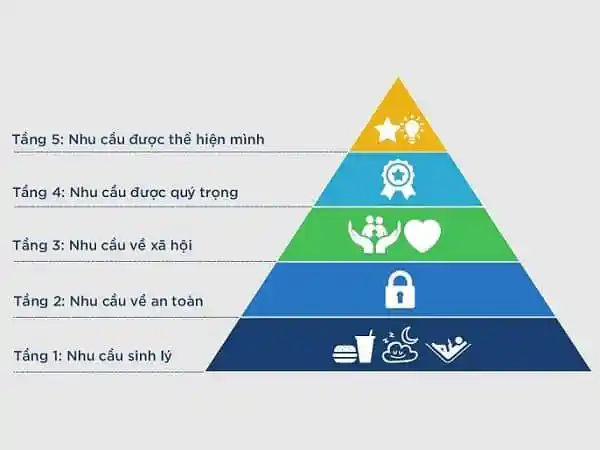 Tháp nhu cầu Maslow thang 5 cấp bậc